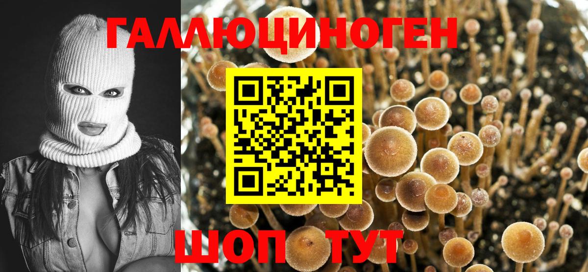 Псилоцибиновые грибы мухоморы Звенигород